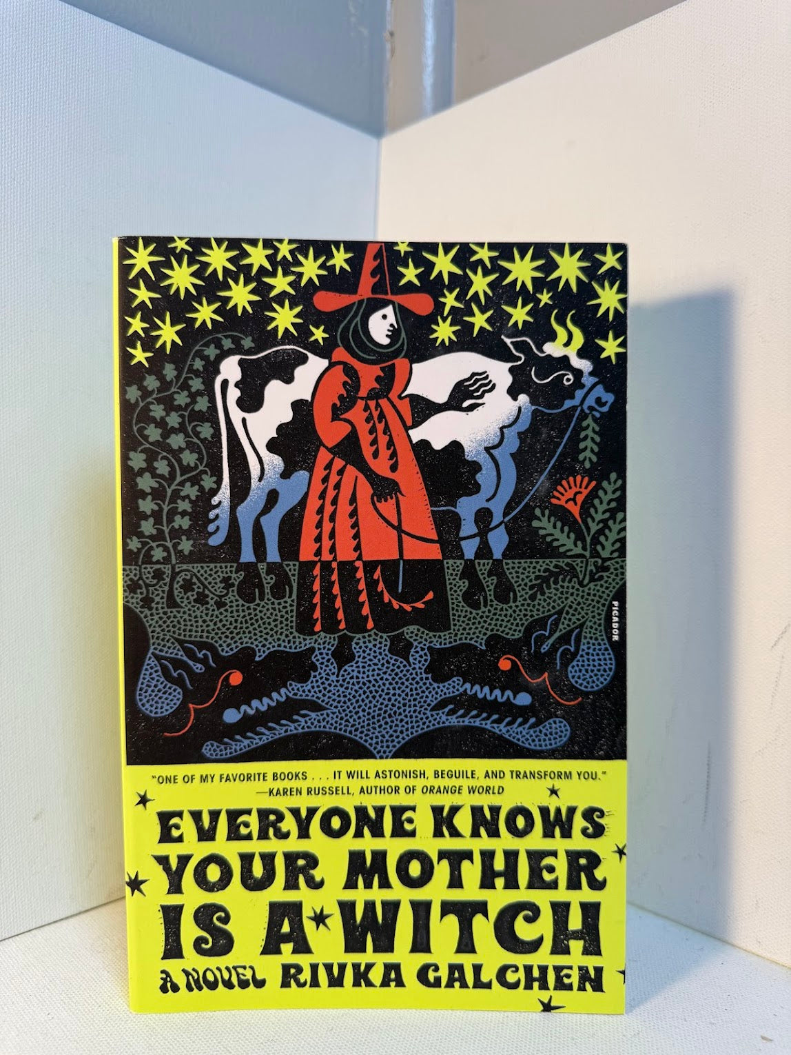 Everyone Knows Your Mother is a Witch by Rivka Galchen