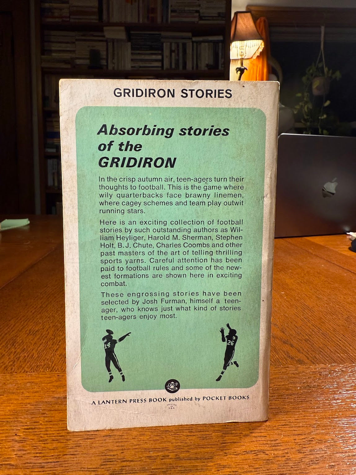 Gridiron Stories