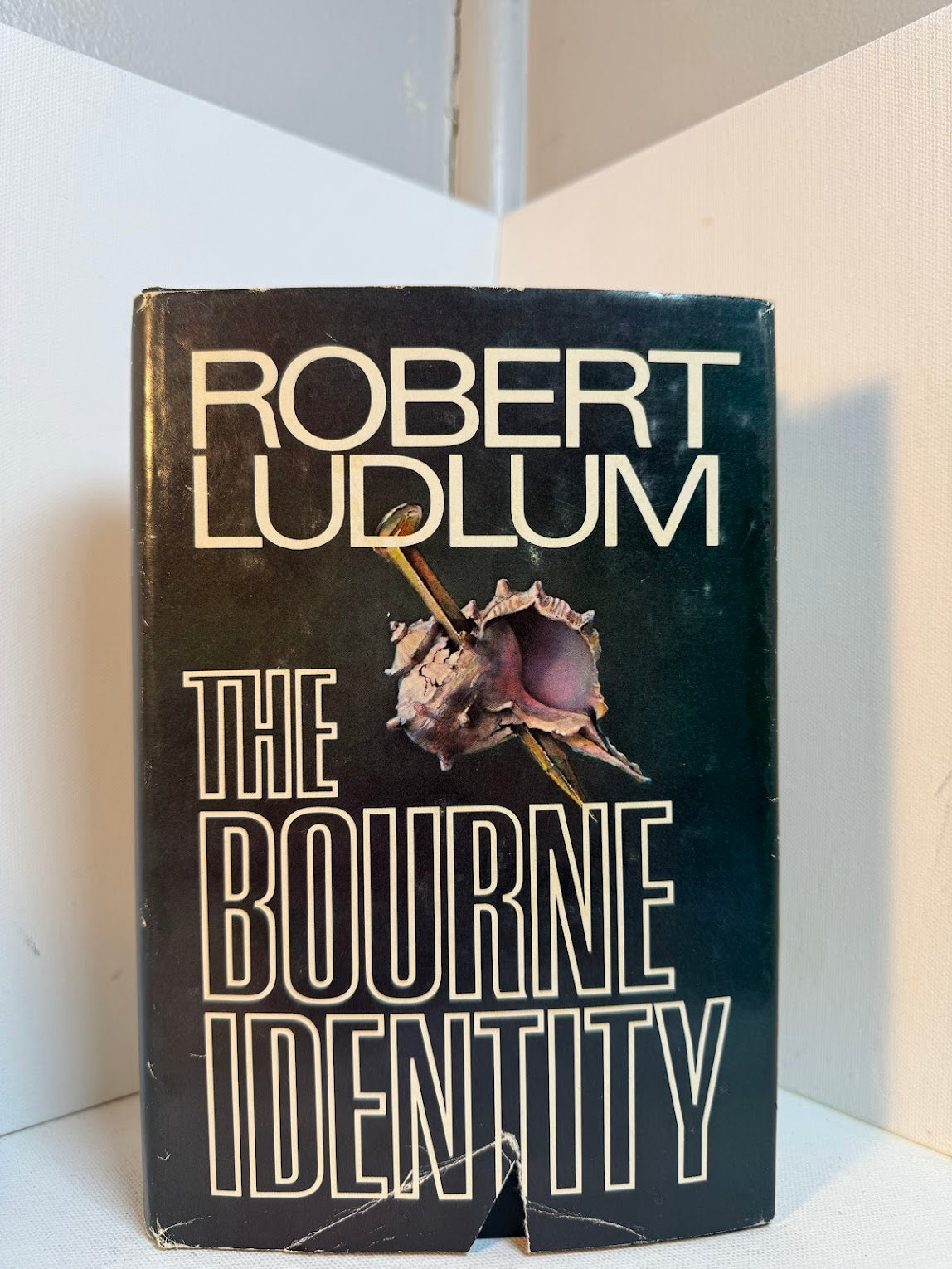 The Bourne Identity by Robert Ludlum