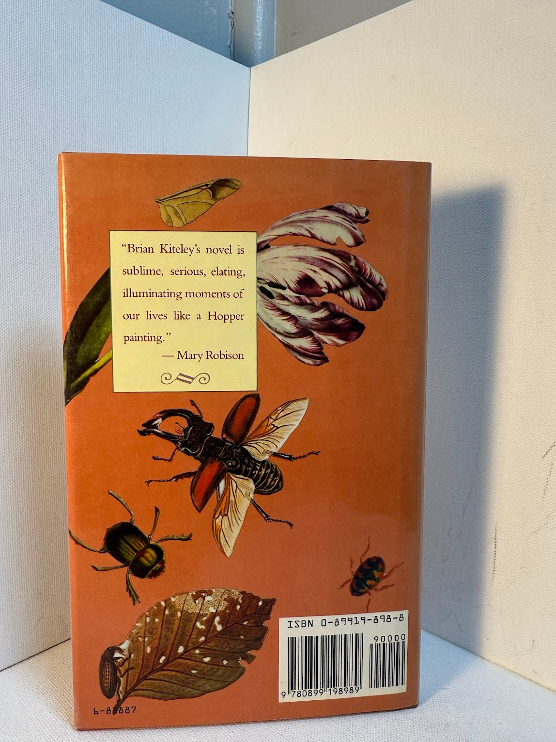 Still Life With Insects by Brian Kiteley