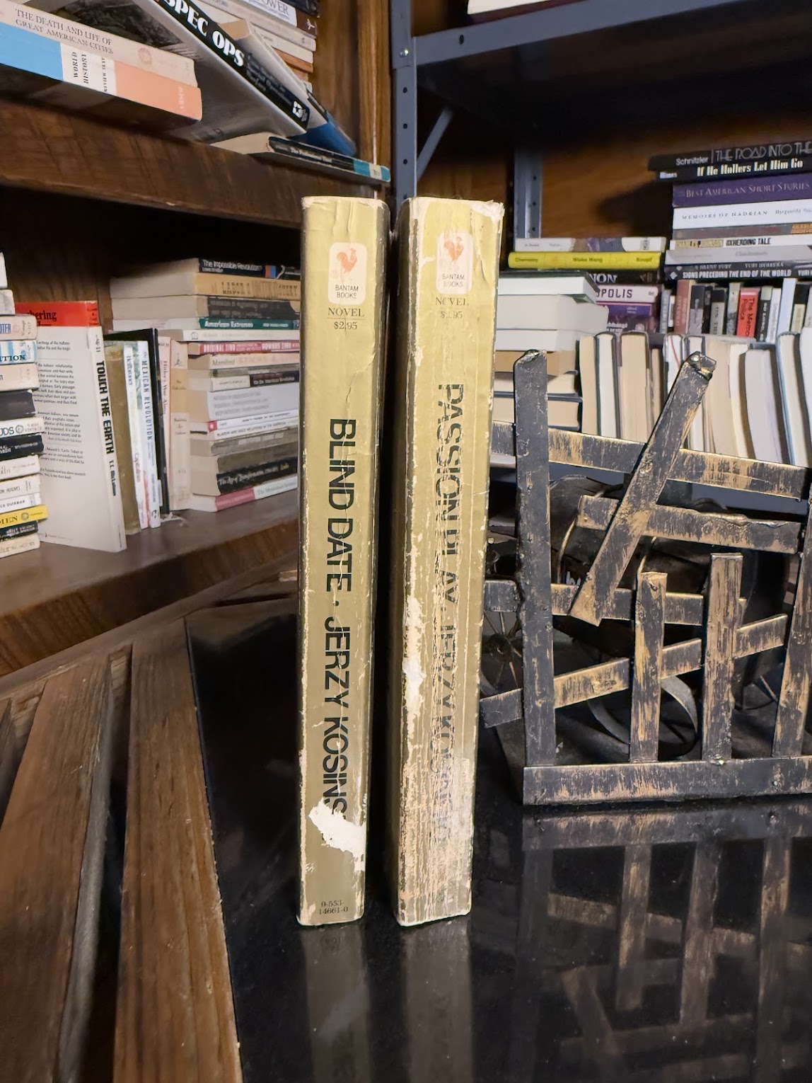 Passion Play & Blind Date by Jerzy Kosinski