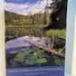 Nature, Aesthetics and Environmentalism edited by Allen Carlson and Sheila Lintott