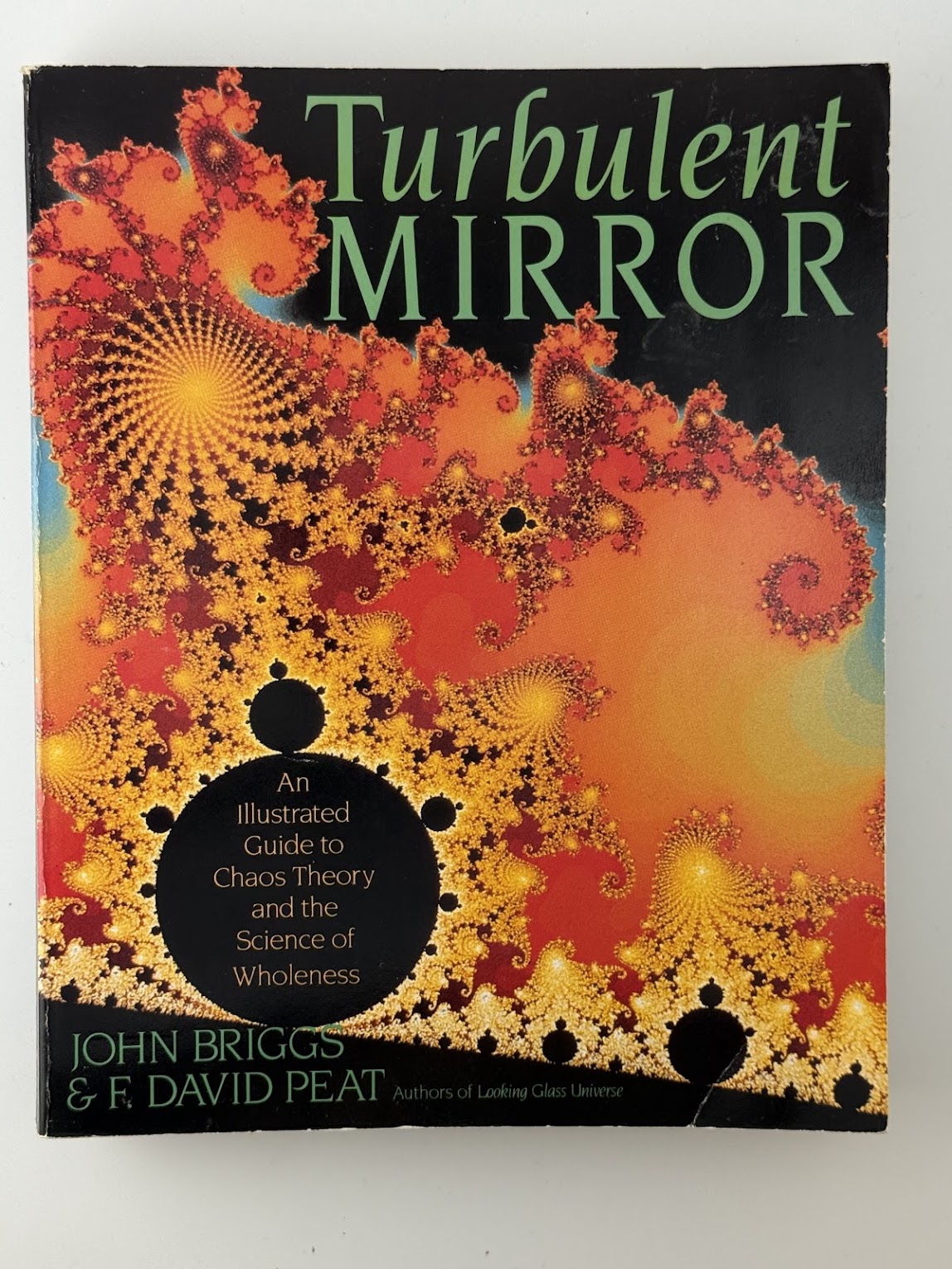 Turbulent Mirror by John Briggs & F. David Peat