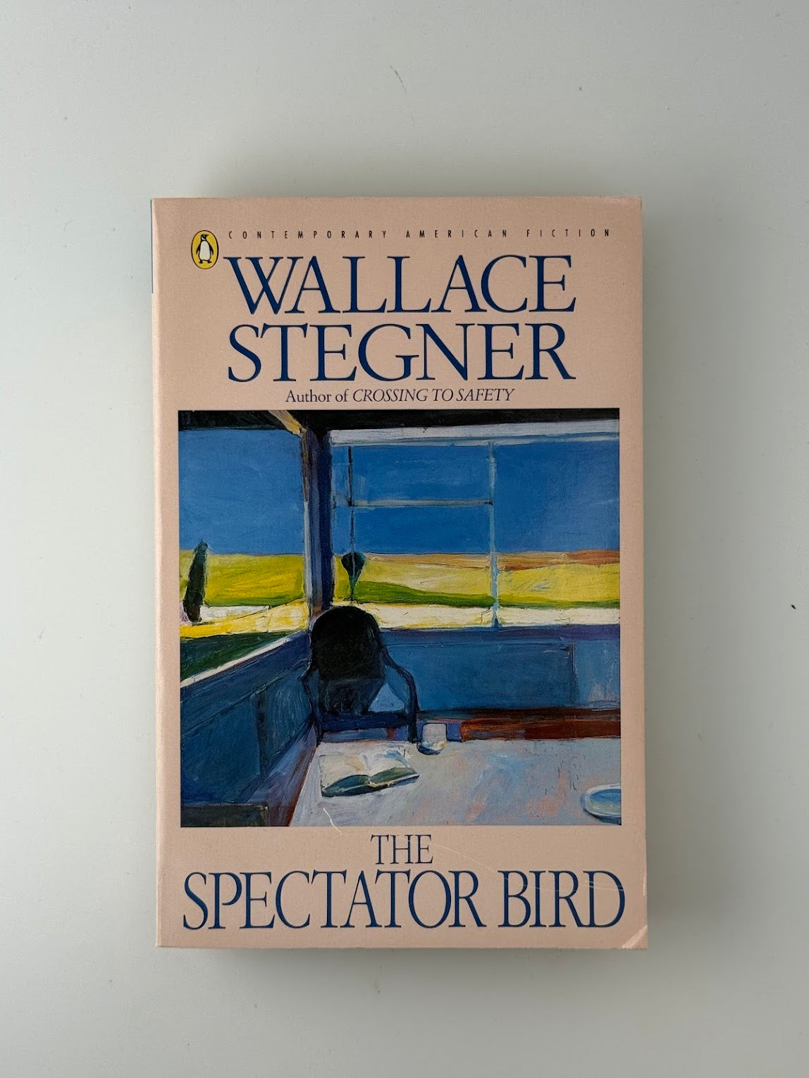 The Spectator Bird by Wallace Stegner
