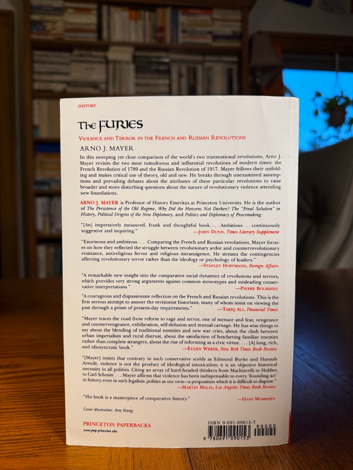 The Furies - Violence and Terror in the French and Russian Revolutions by Arno J. Mayer