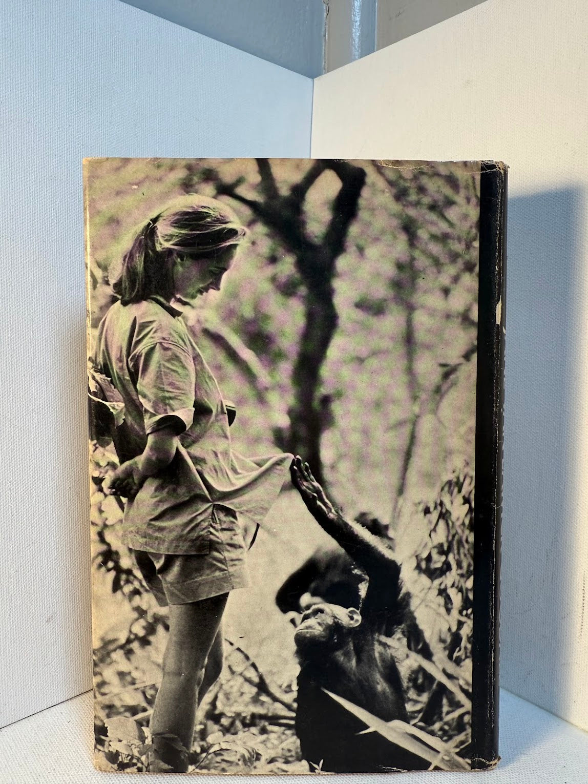 In the Shadow of Man by Jan Van Lawick-Goodall