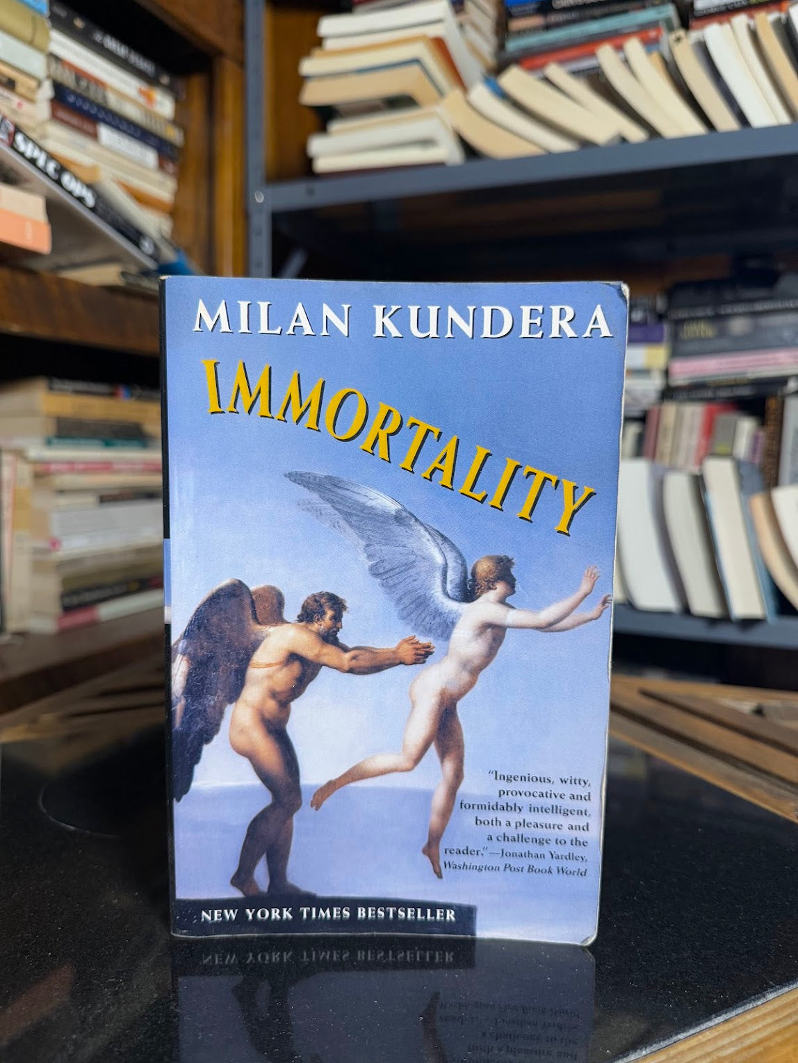 Immortality by Milan Kundera