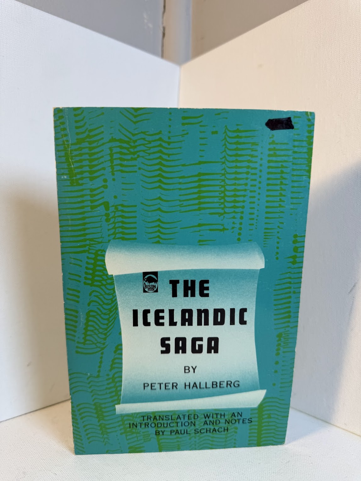 The Icelandic Saga by Peter Hallberg