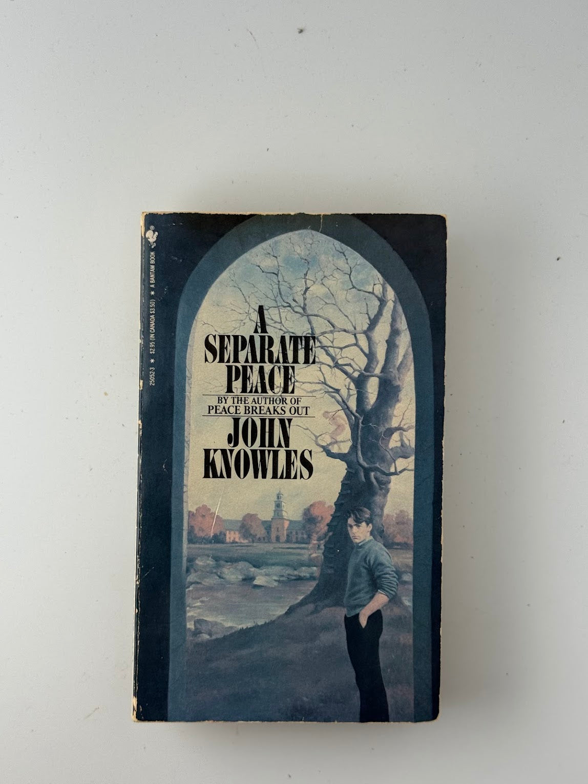 A Separate Peace by John Knowles