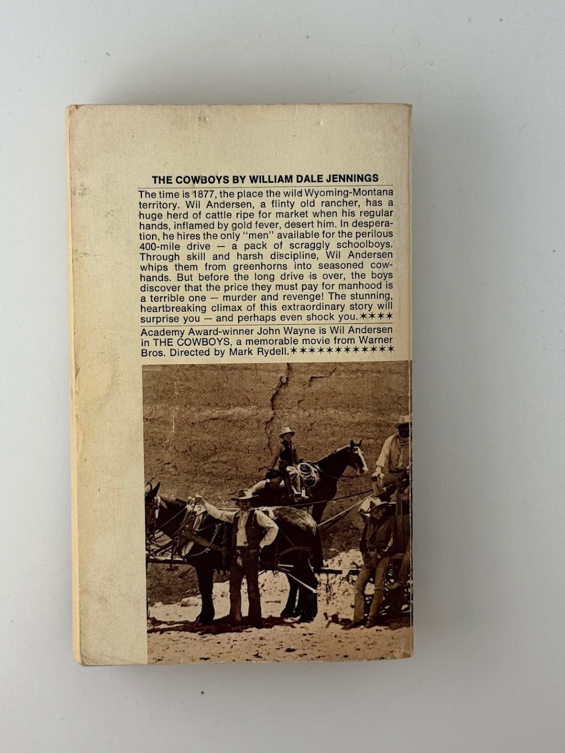 The Cowboys by William Dale Jennings