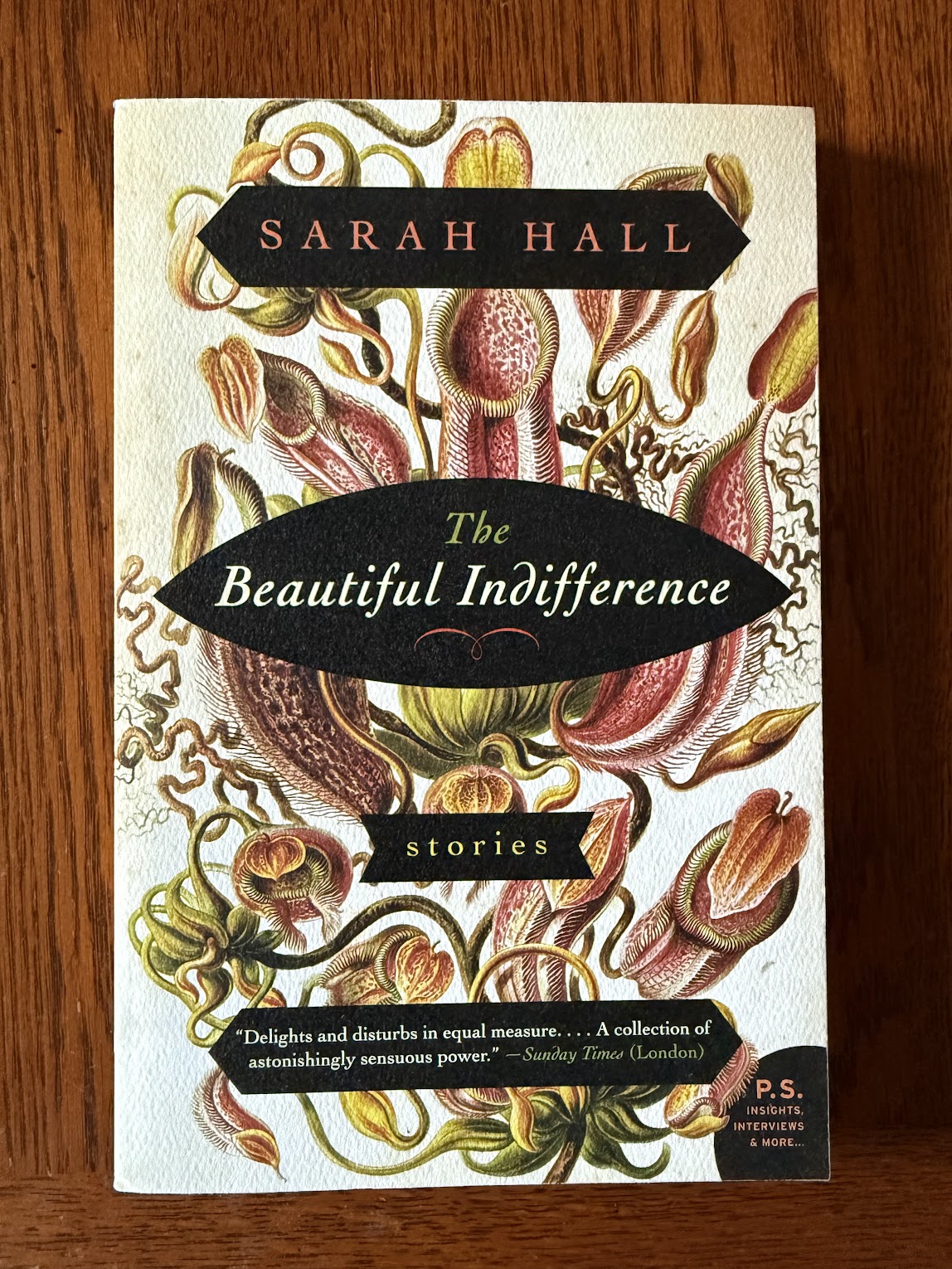 The Beautiful Indifference by Sarah Hall