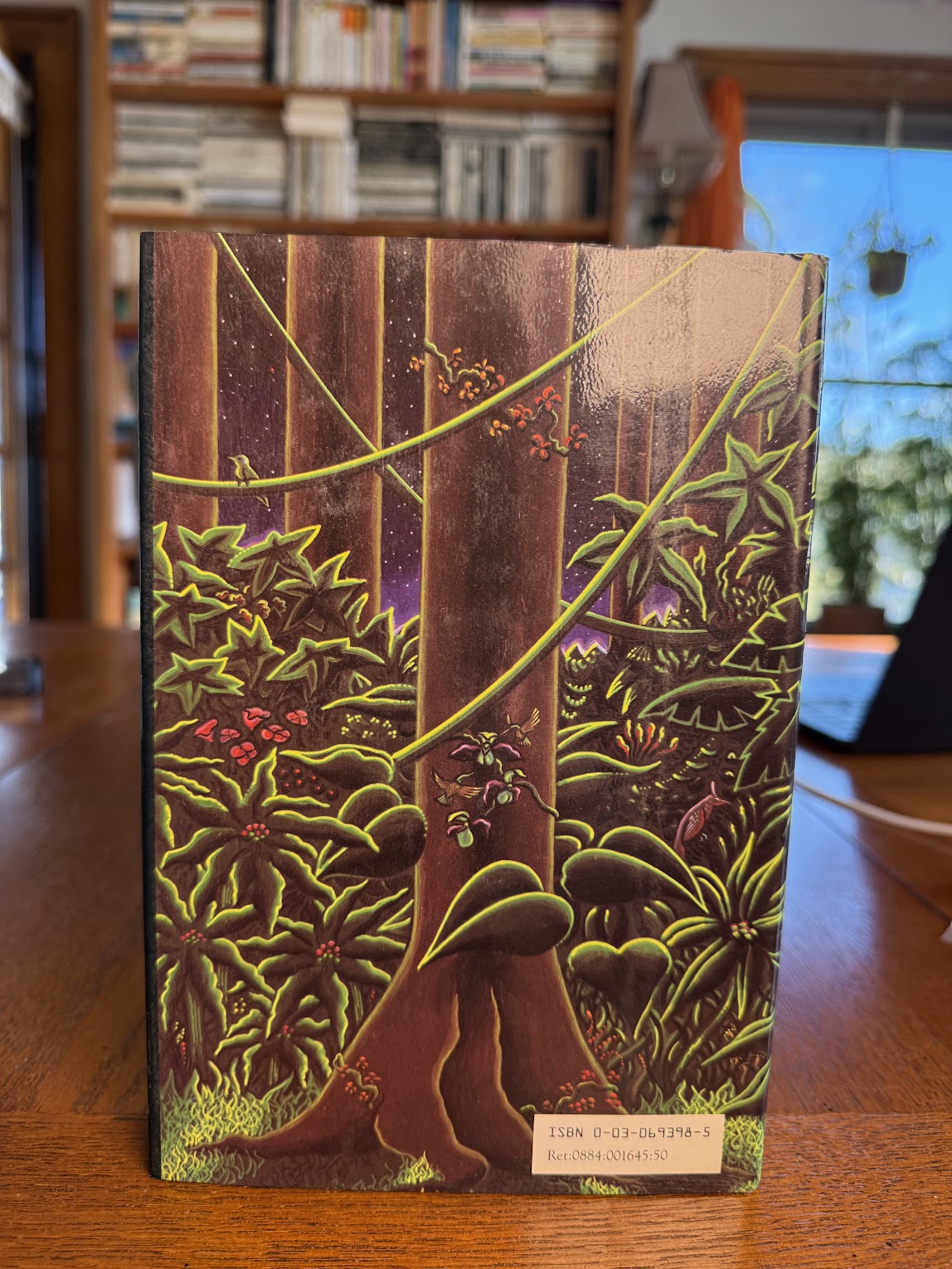 Don Bueno by Zulfikar Ghose