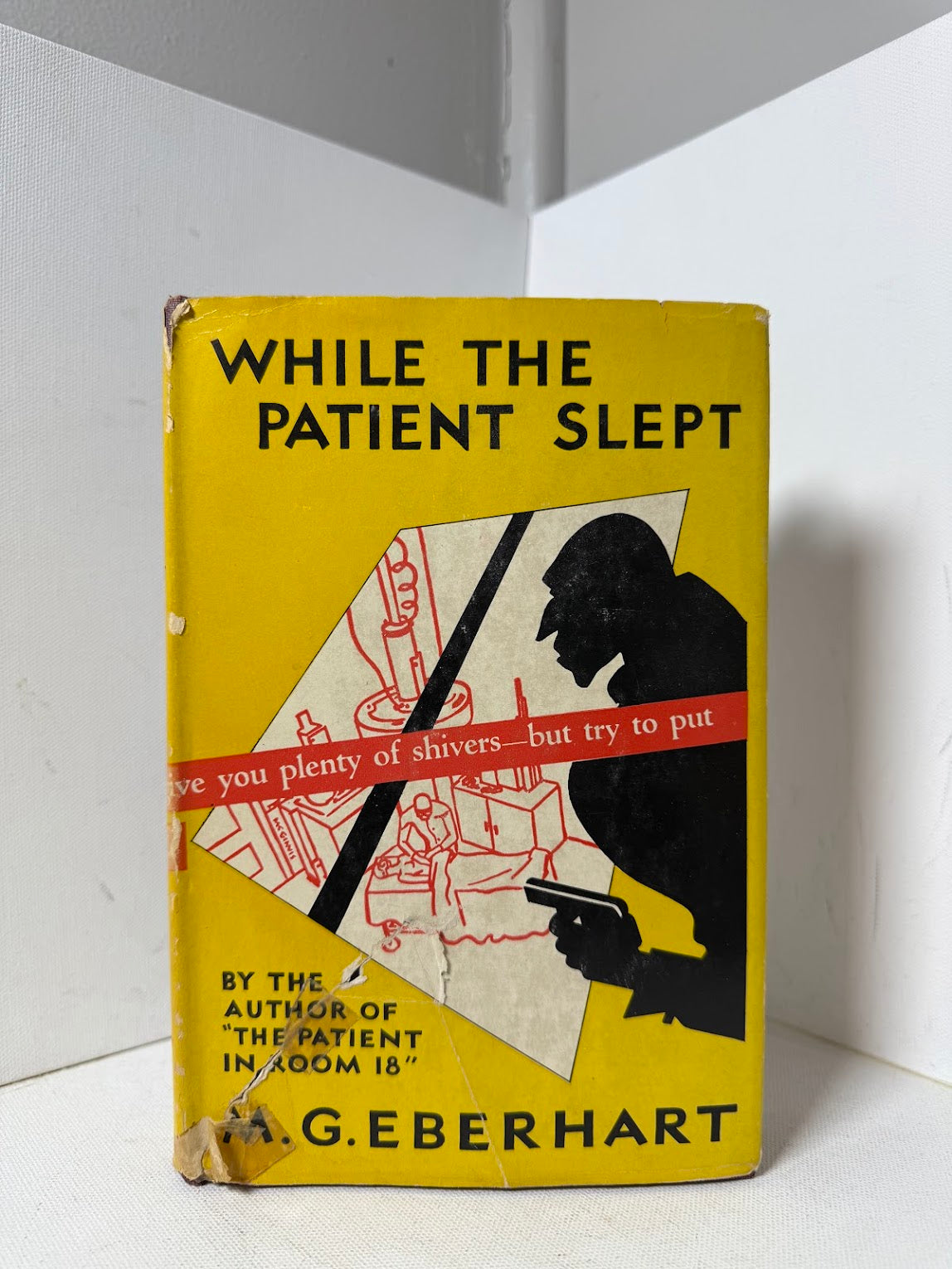 While the Patient Slept by M. G. Eberhart