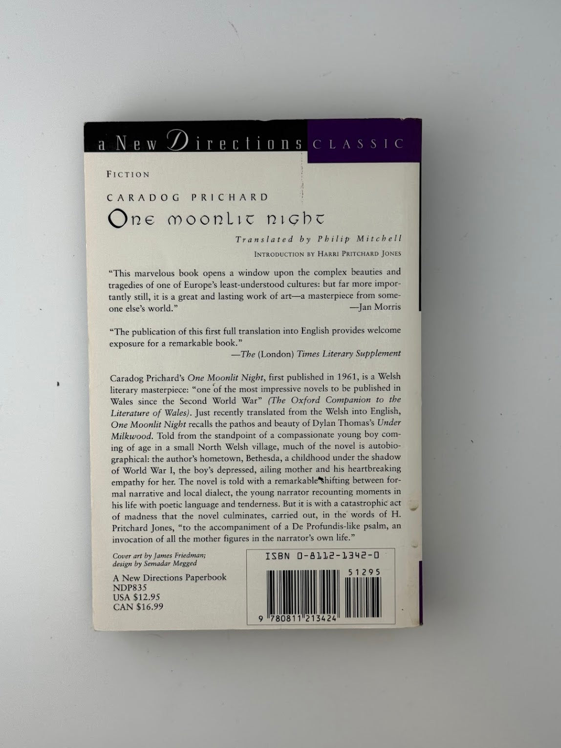 One Moonlit Night by Caradog Prichard