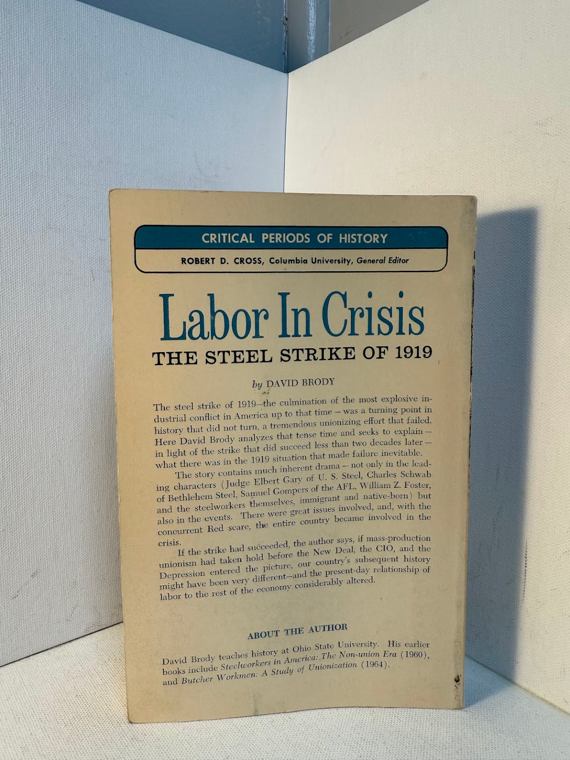 Labor in Crisis - The Steel Strike of 1919 by David Brody