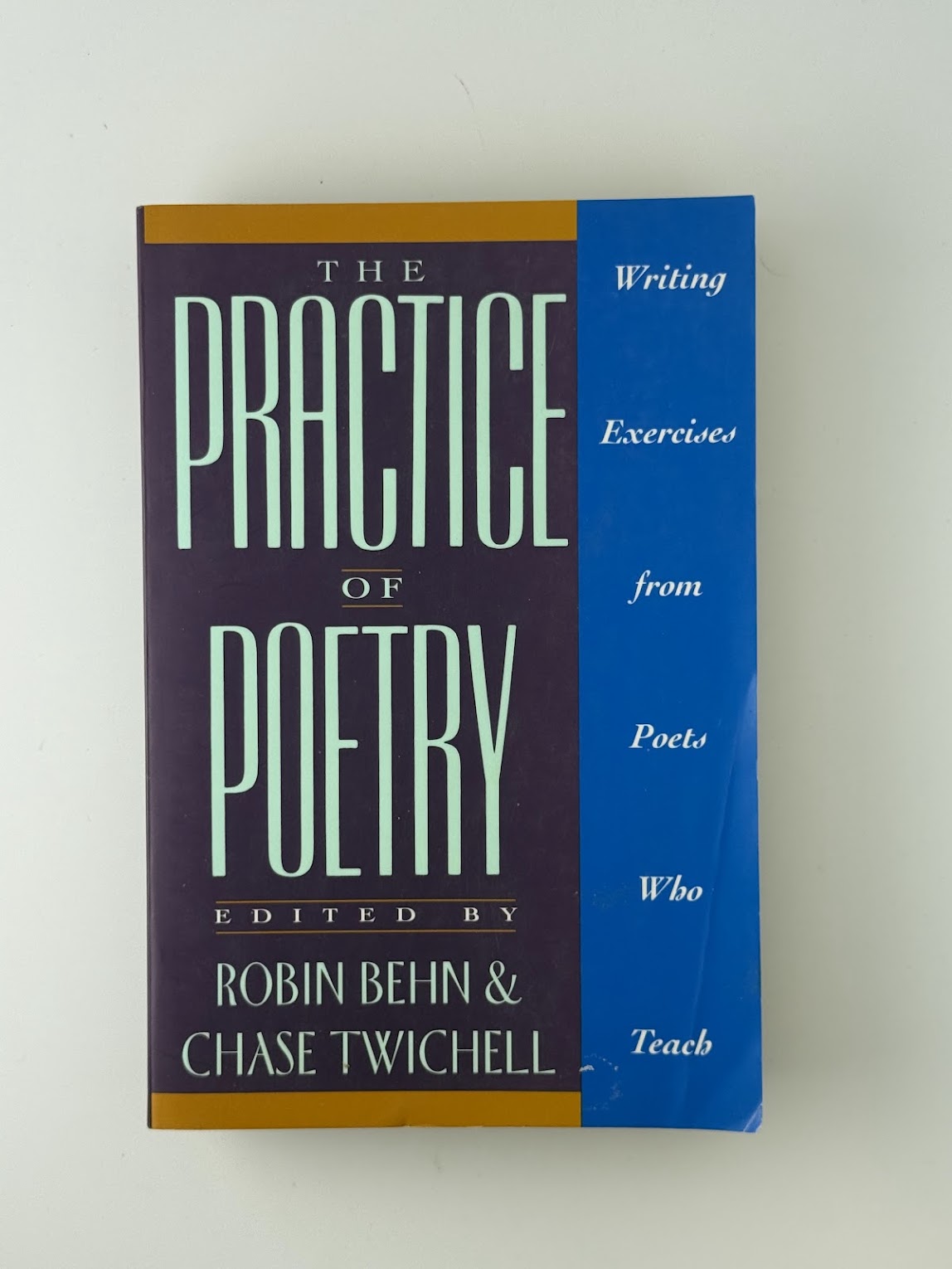 The Practice of Poetry edited by Robin Behn & Chase Twitchell