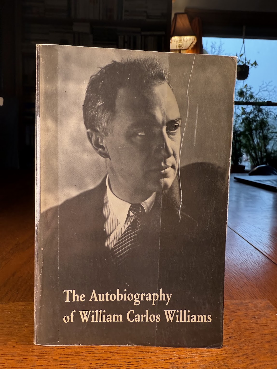 The Autobiography of William Carlos Williams