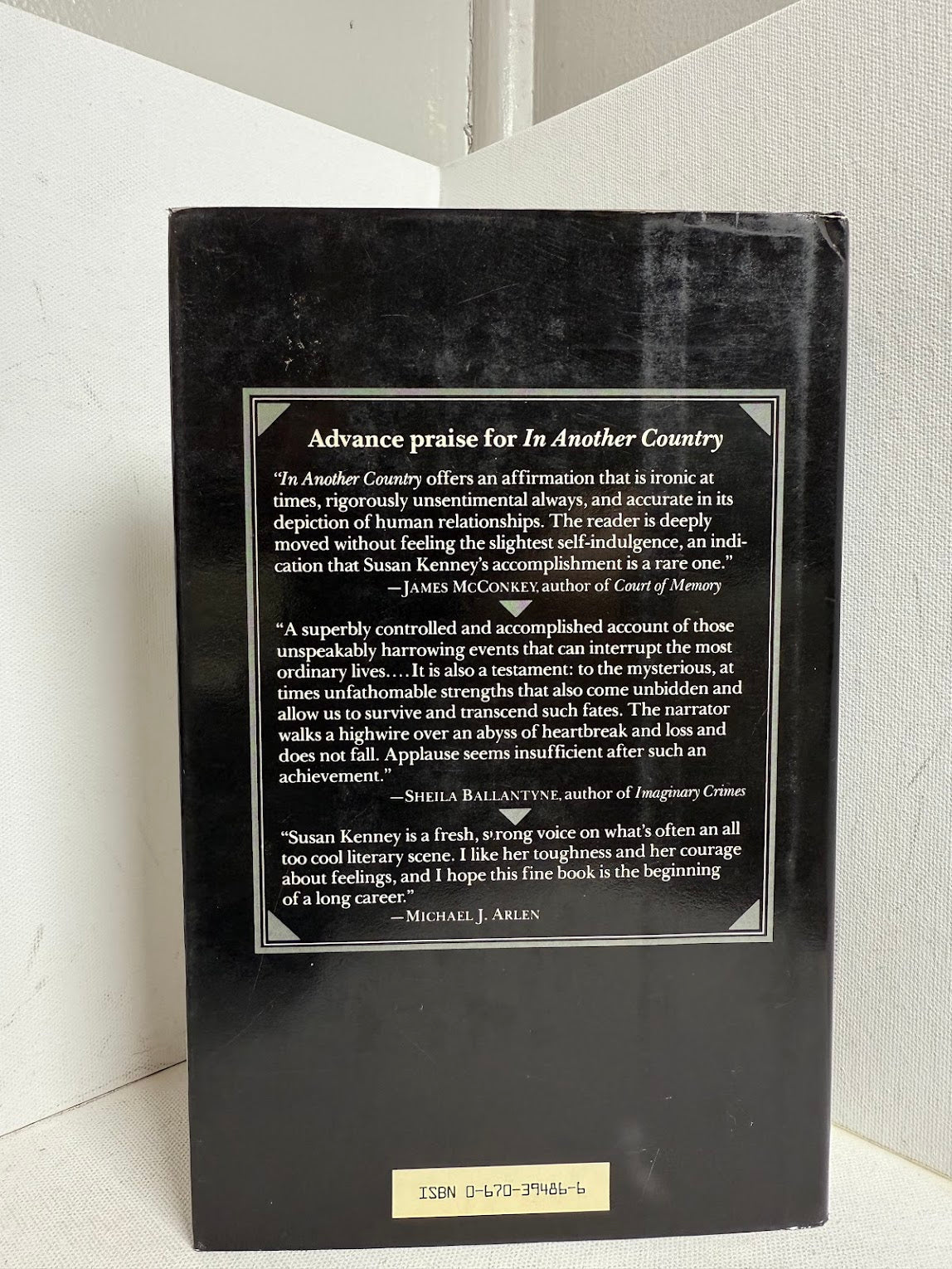 In Another Country by Susan Kenney