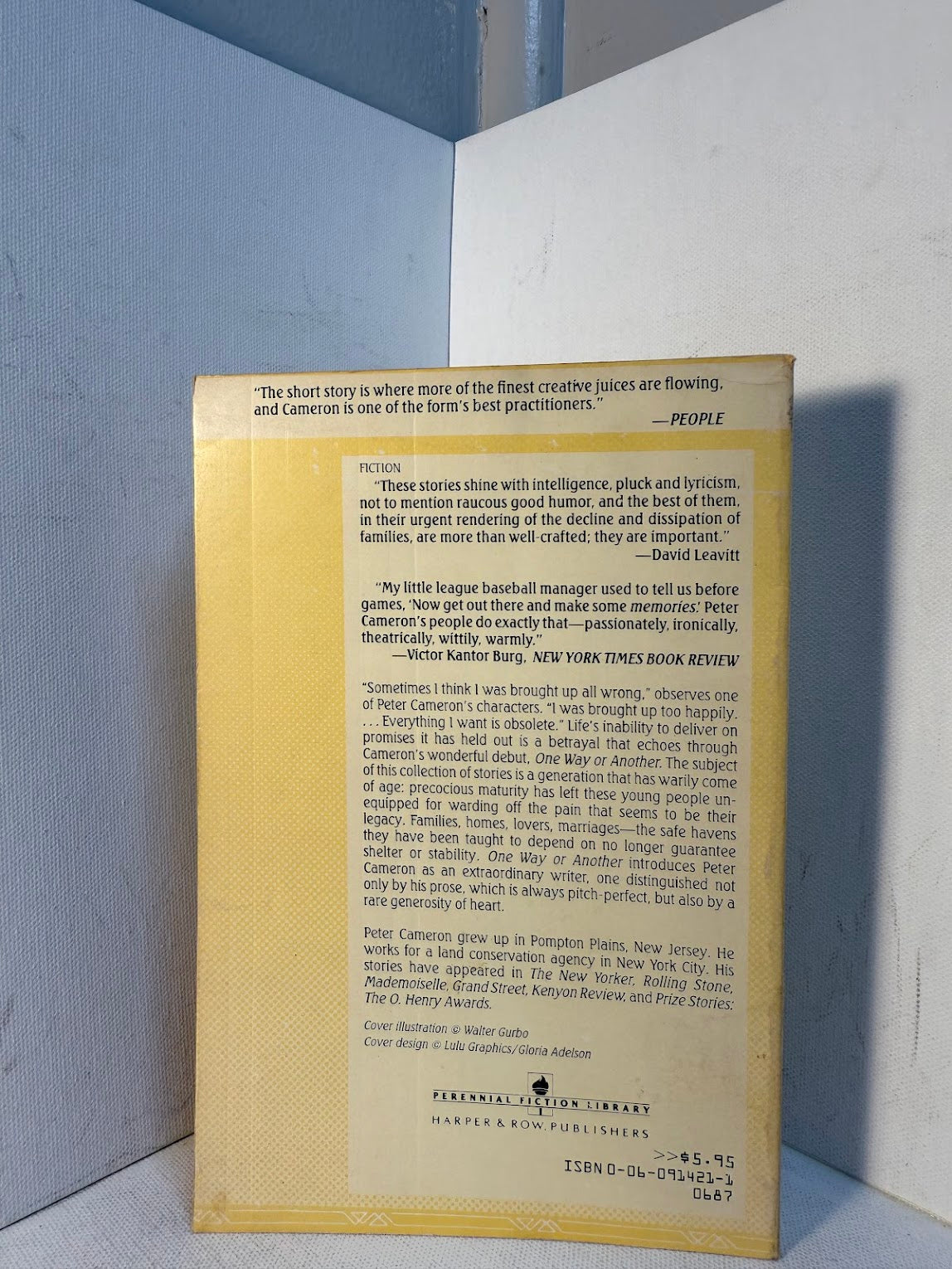 One Way or Another by Peter Cameron