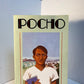Pocho by Jose Antonio Villarreal
