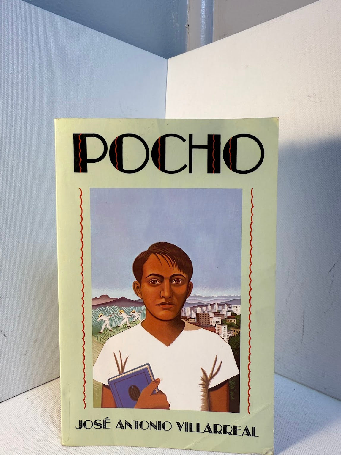 Pocho by Jose Antonio Villarreal