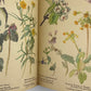 The Country Diary of an Edwardian Lady by Edith Holden