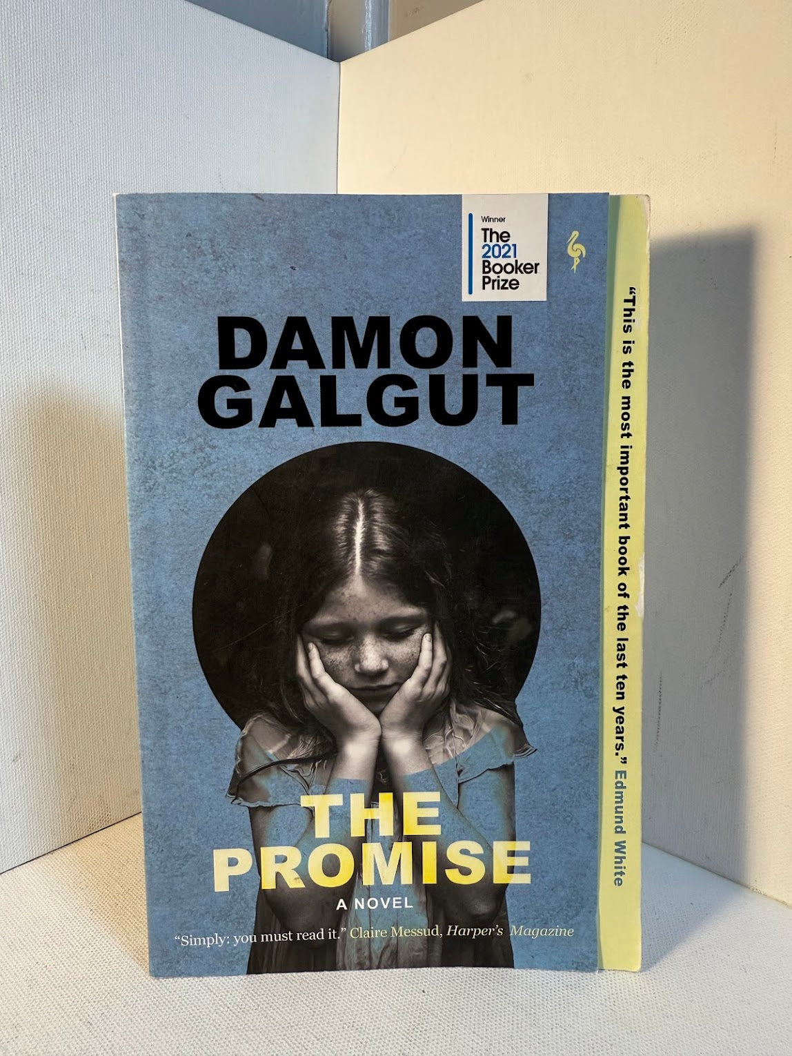 The Promise by Damon Galgut