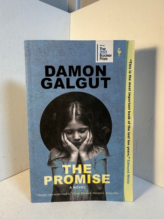 The Promise by Damon Galgut