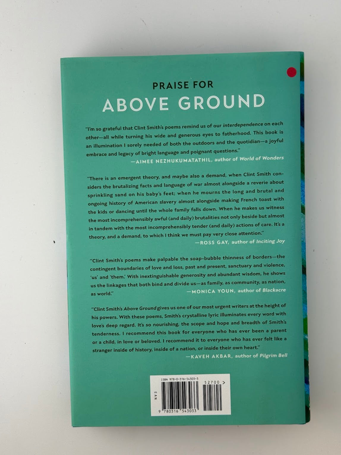 Above Ground by Clint Smith