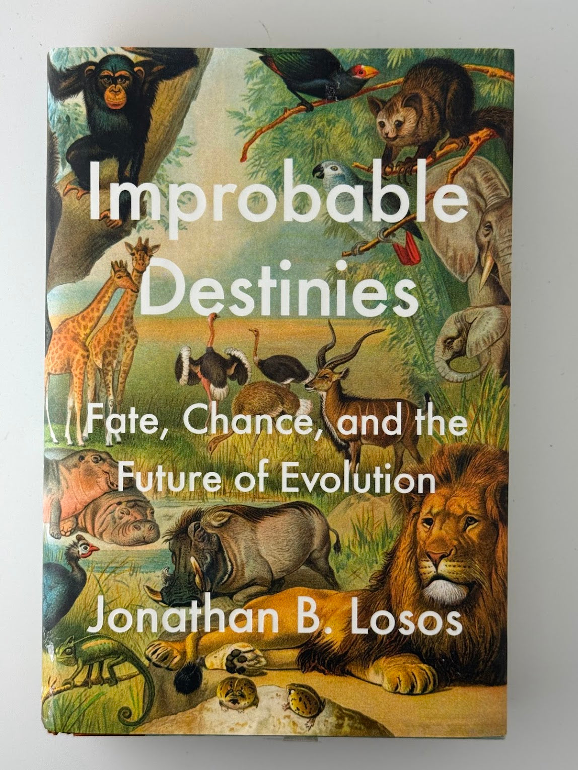 Improbable Destinies by Jonathan B. Losos