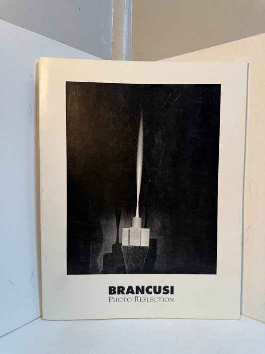 Photo Reflections Brancusi