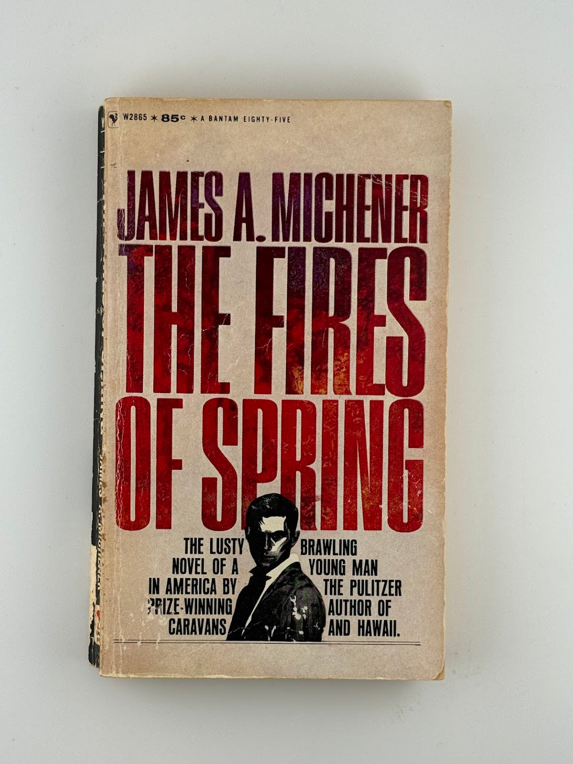 The Fires of Spring by James Michener