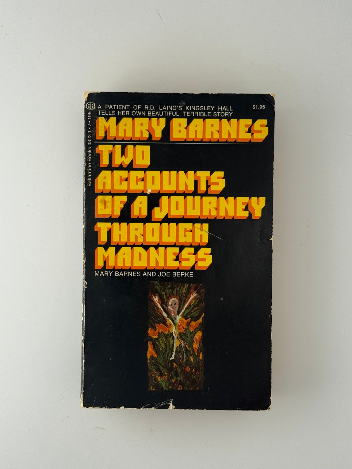 Two Accounts of a Journey Through Madness by Mary Barnes