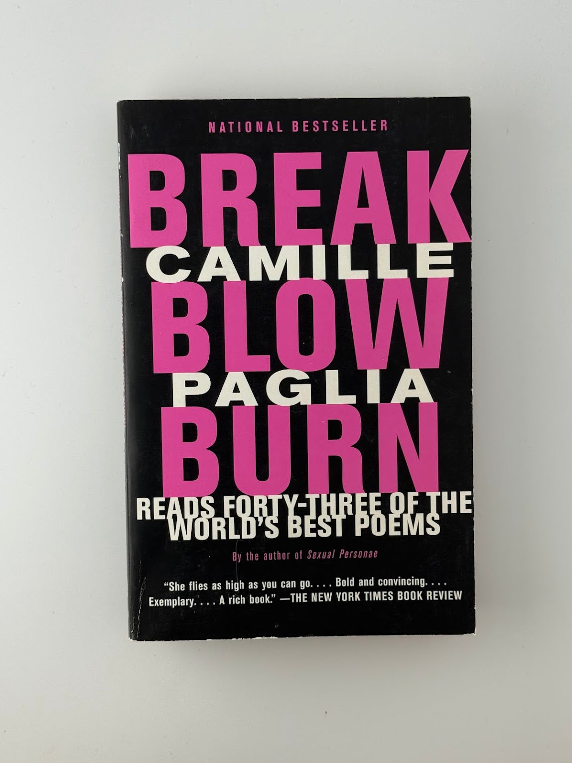 Break Blow Burn by Camille Paglia