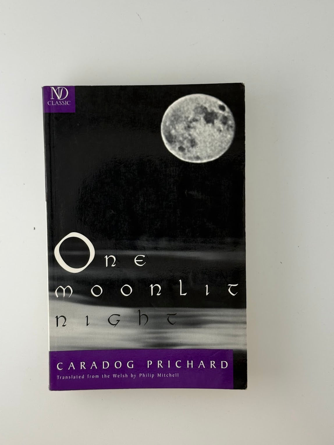 One Moonlit Night by Caradog Prichard