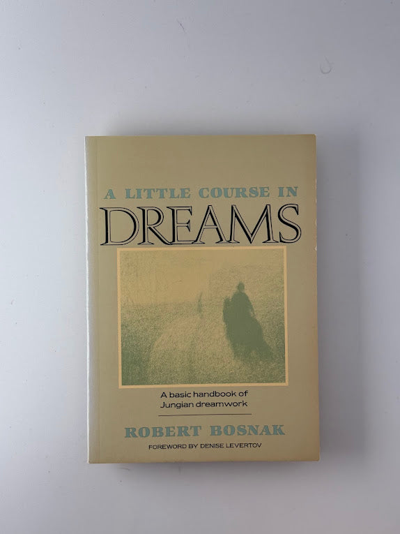 A Little Course in Dreams by Robert Bosnak