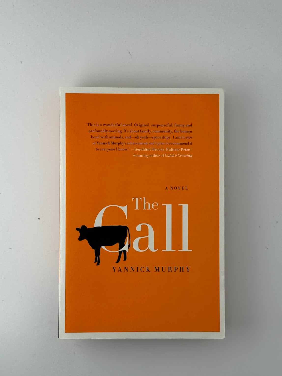 The Call by Yannick Murphy