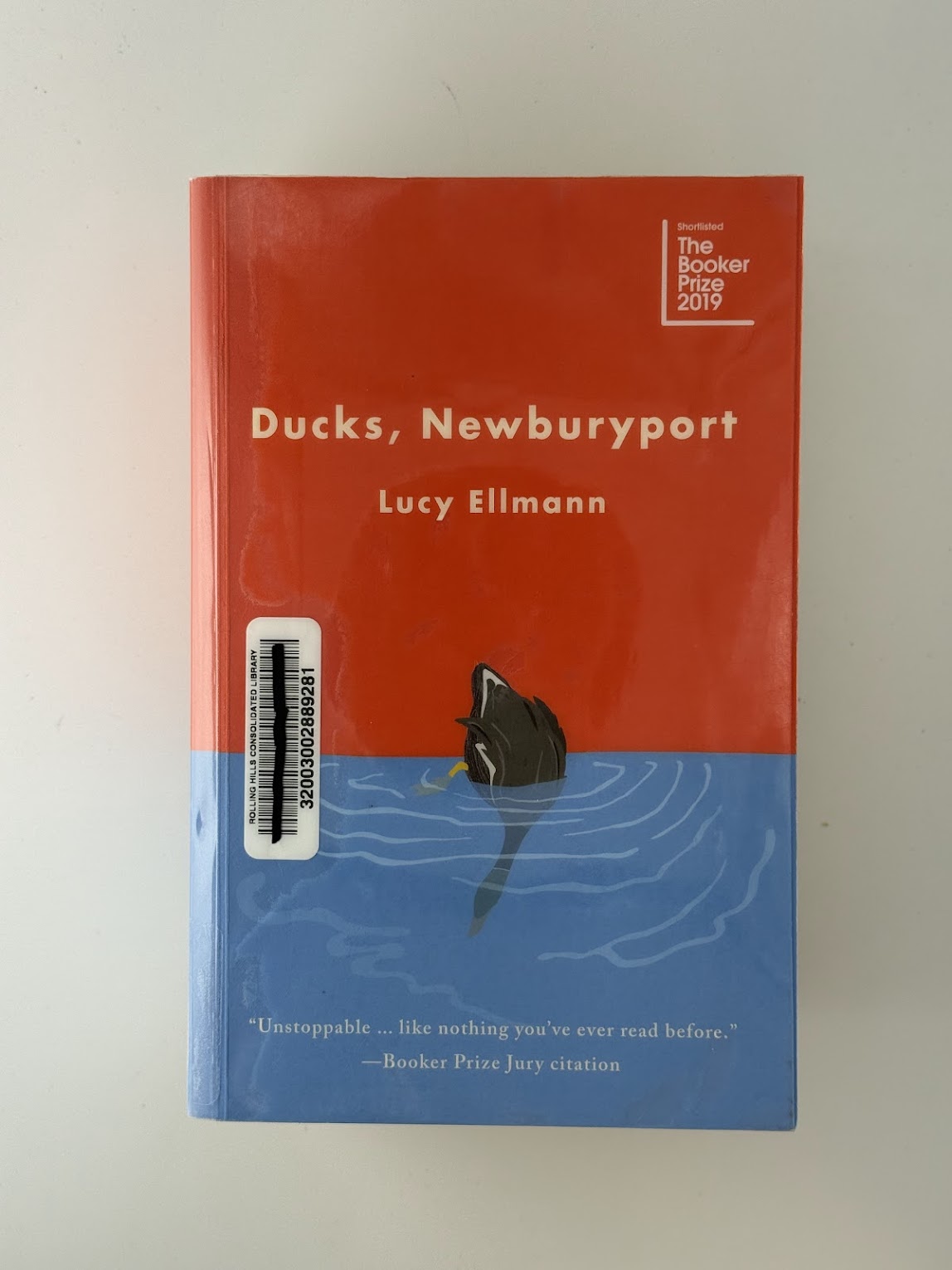 Ducks, Newburyport by Lucy Ellmann