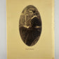 The Country Diary of an Edwardian Lady by Edith Holden