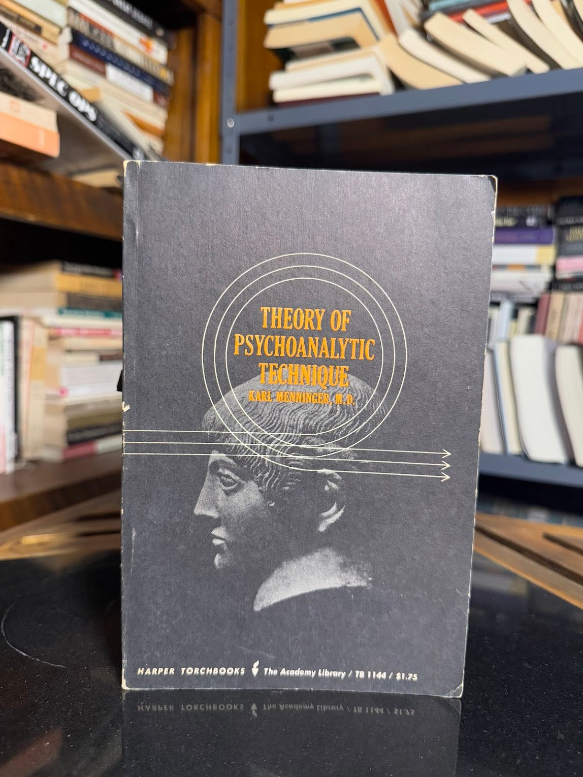 Theory of Psychoanalytic Technique by Karl Menninger