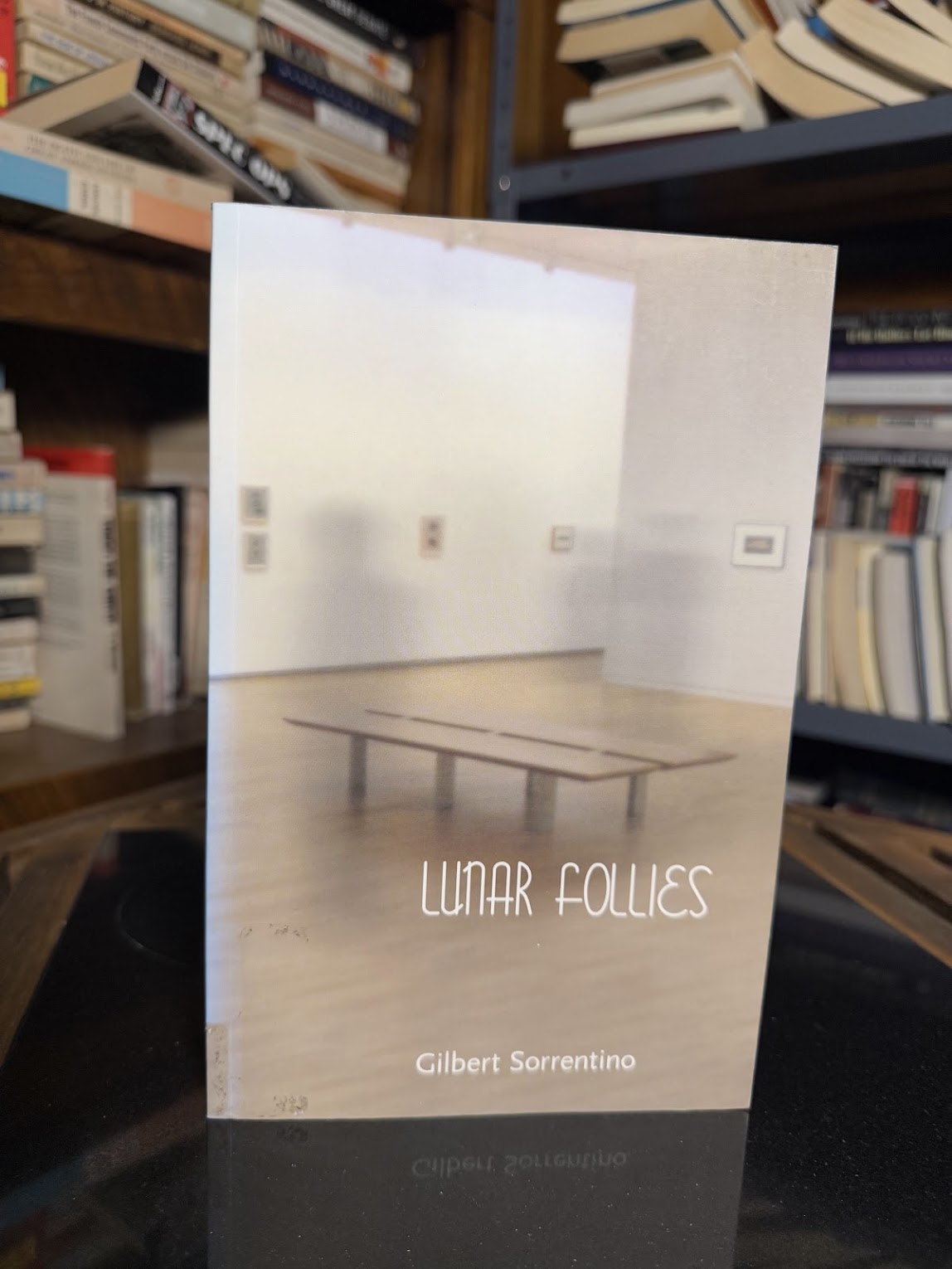 Lunar Follies by Gilbert Sorrentino