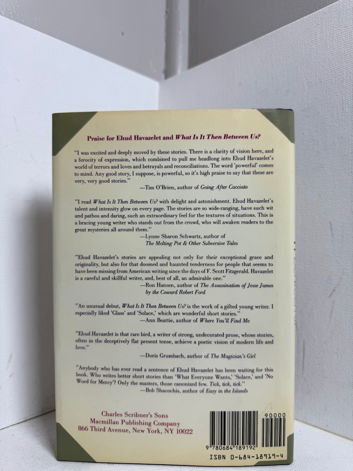 What Is It Then Between Us? by Ehud Havazelet