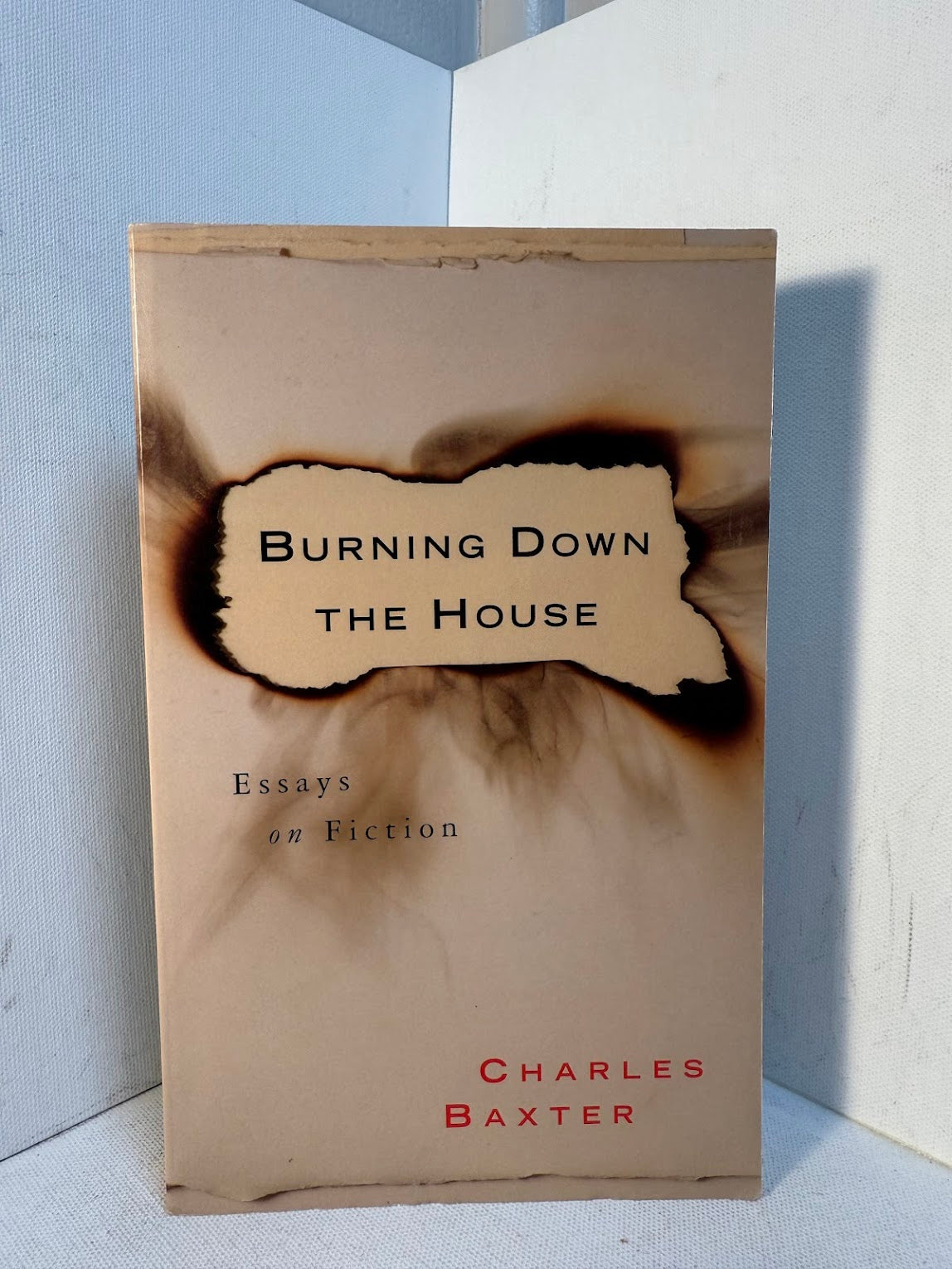 Burning Down The House by Charles Baxter