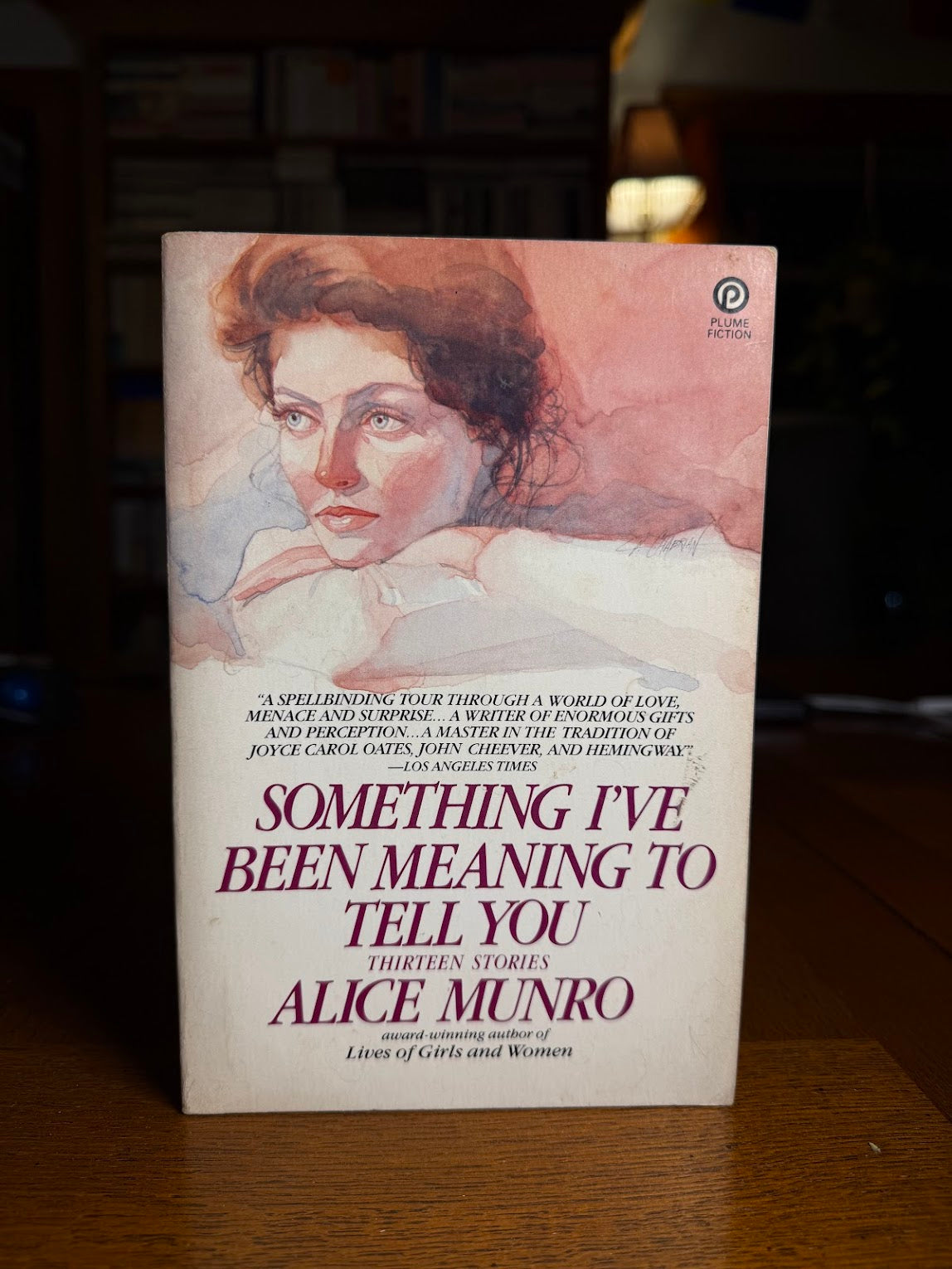 Something I've Been Meaning to Tell You by Alice Munro