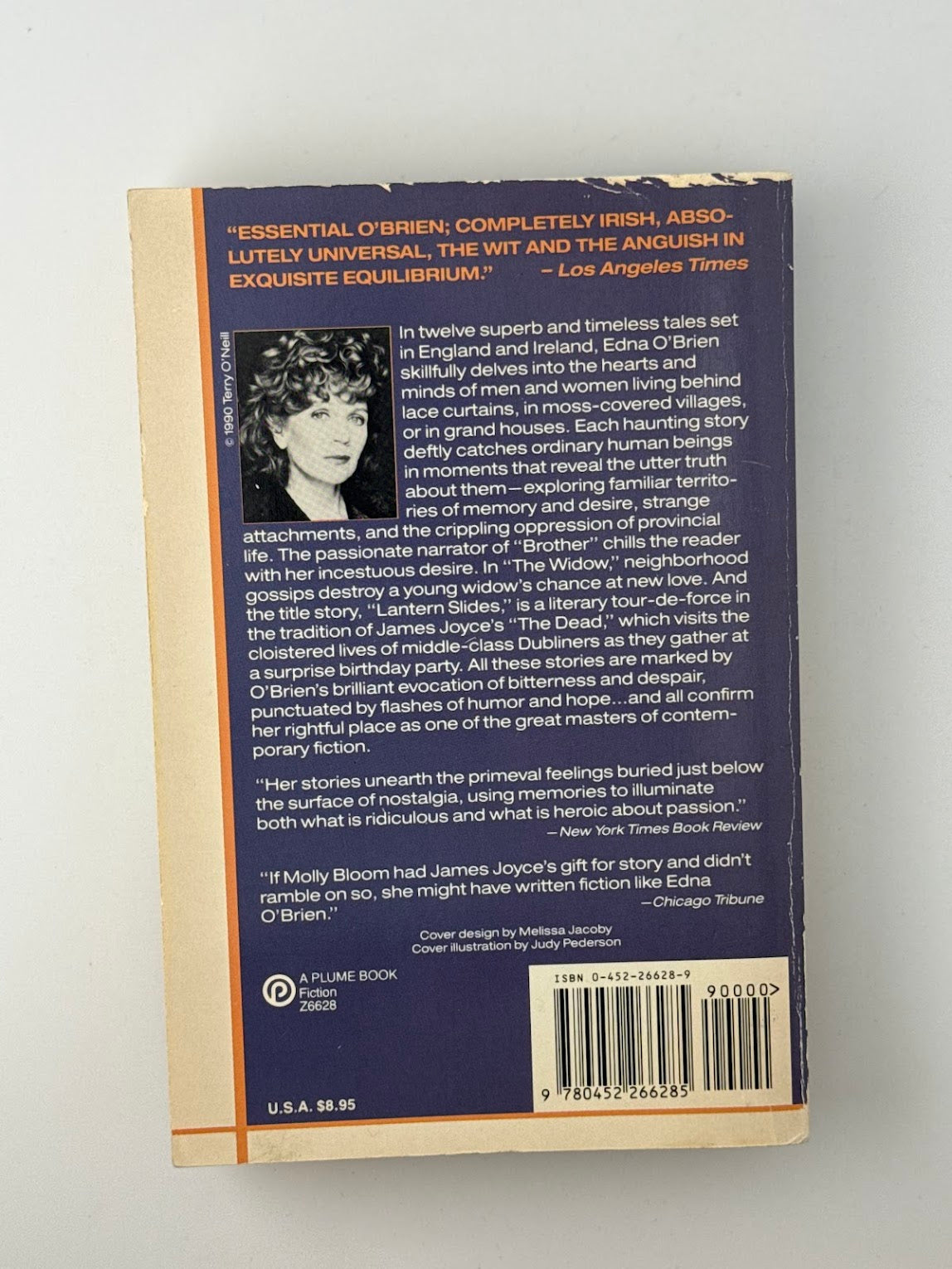 Lantern Slides by Edna O'Brien