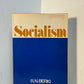 Socialism by R.N. Berki
