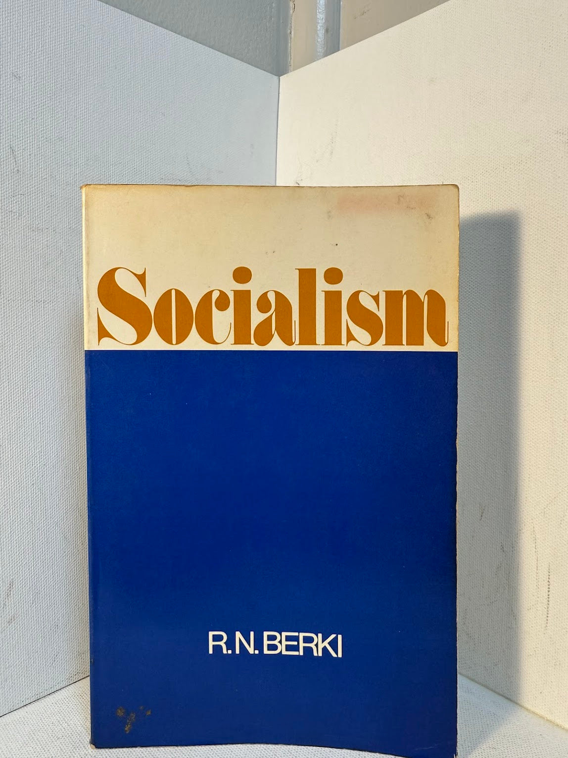 Socialism by R.N. Berki