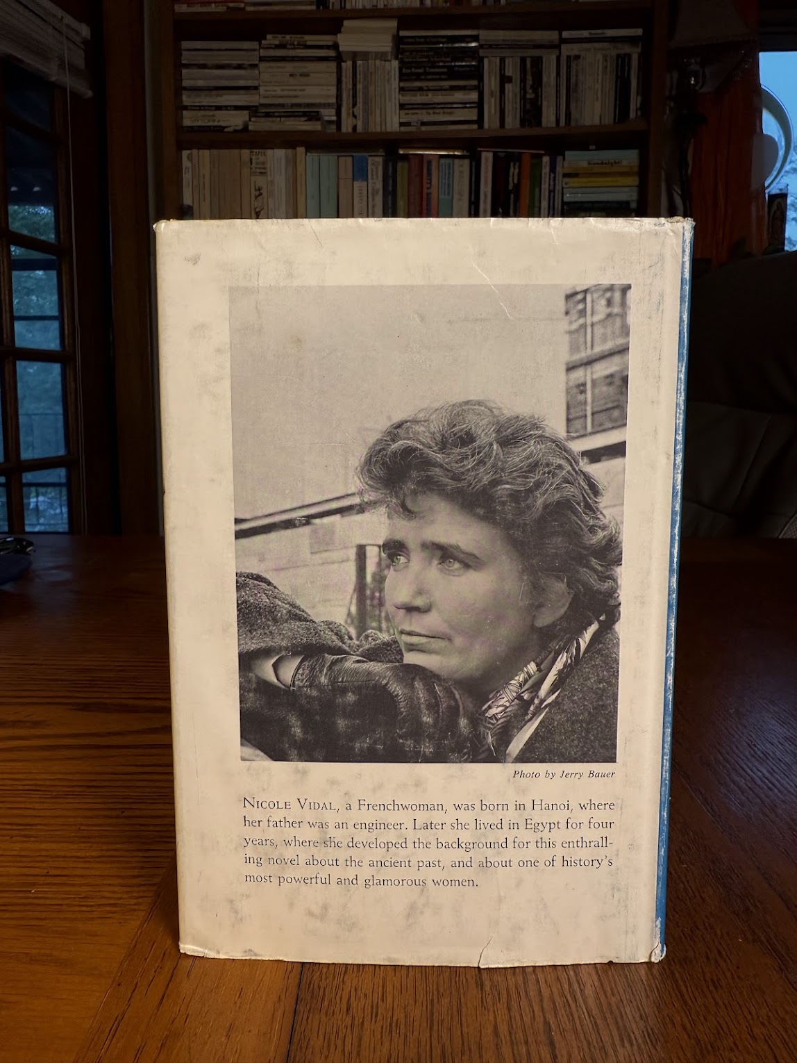 The Goddess Queen by Nicole Vidal