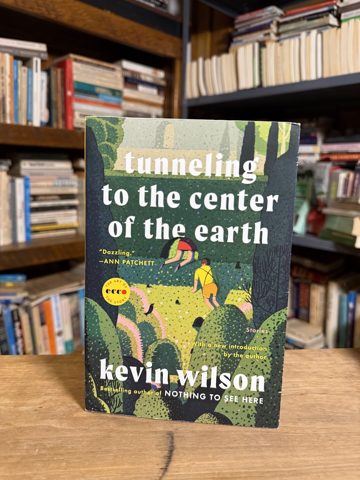 Tunneling to the Center of the Earth by Kevin Wilson