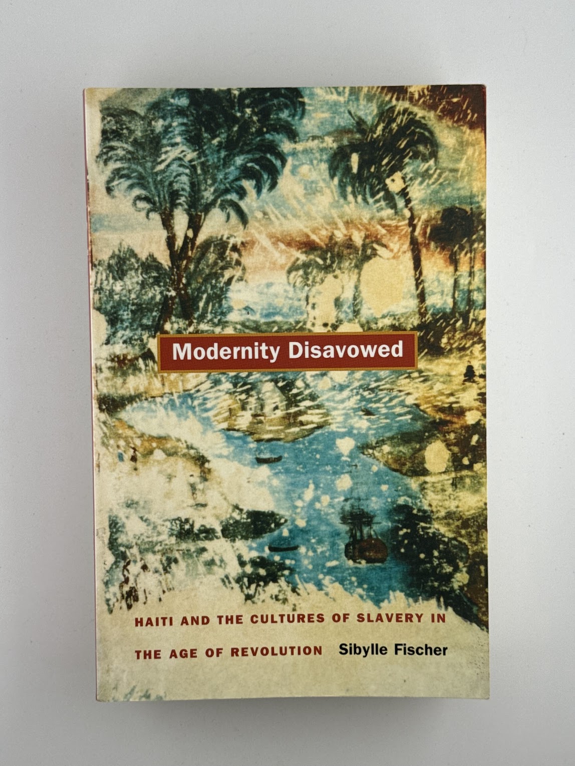 Modernity Disavowed by Sibylle Fischer